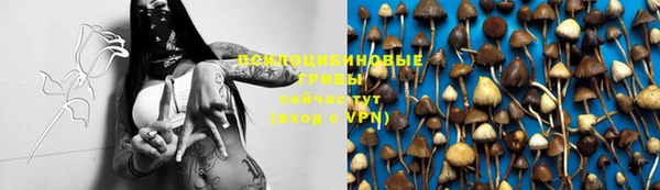 PSILOCYBIN Лагань
