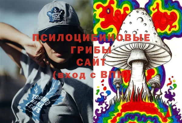 первитин Алексин