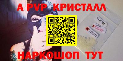 стафф Дубна