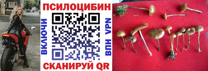 Псилоцибиновые грибы MAGIC MUSHROOMS  omg как зайти  Сальск 